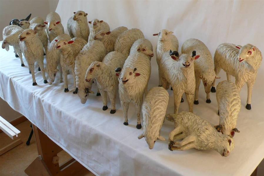 Schafe bei der Inventarisierung